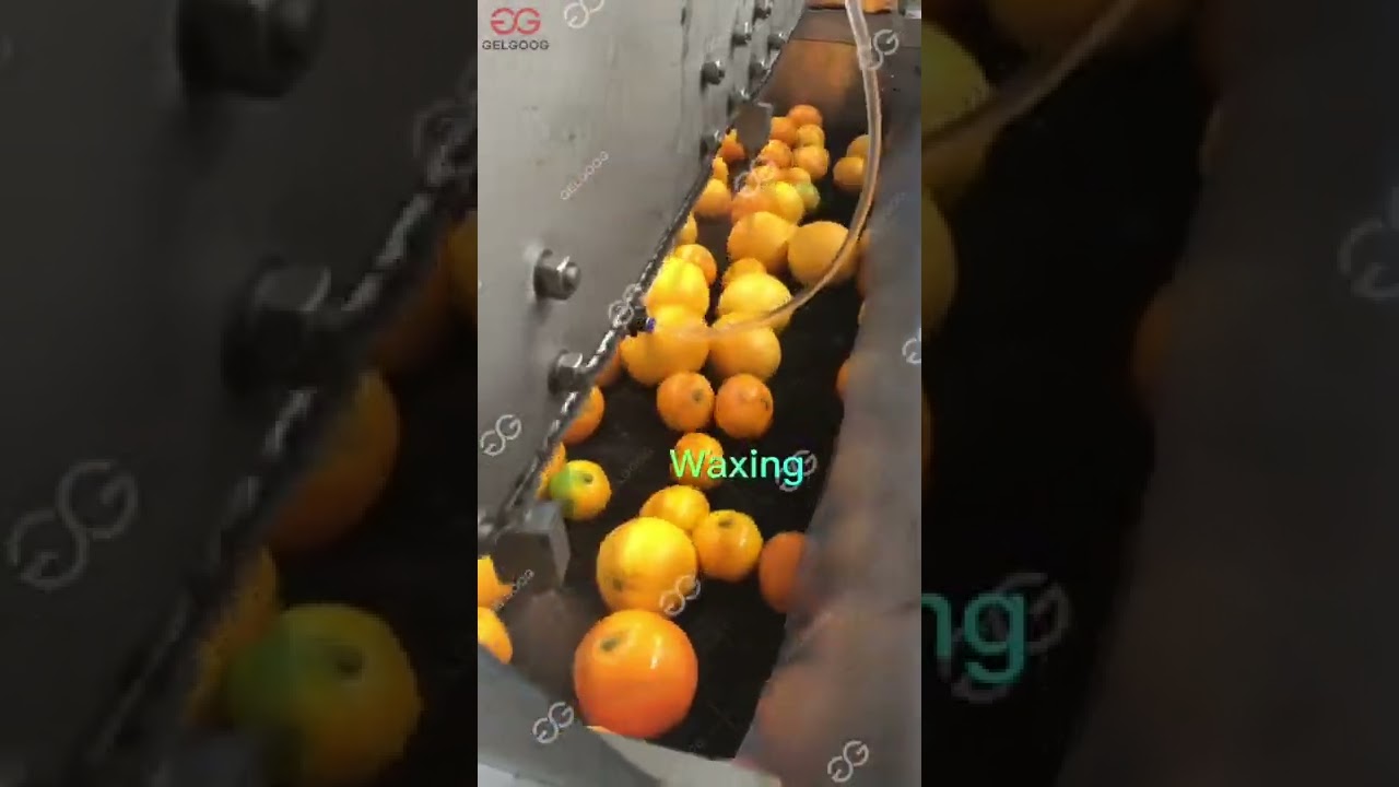 How Do You Wash and Wax Citrus?