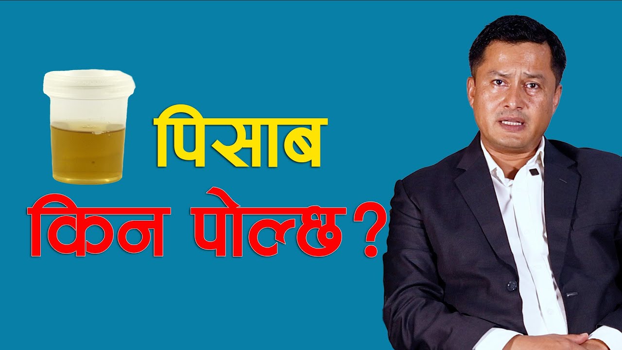 किन पोल्छ पिसाब? Prof. Dr Sudip Raj KC || NIKO NEPAL