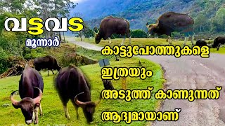 Vattavada - Munnar Travel Guide | Munnar Tourist Places | Munnar Trip | Places to visit in Munnar