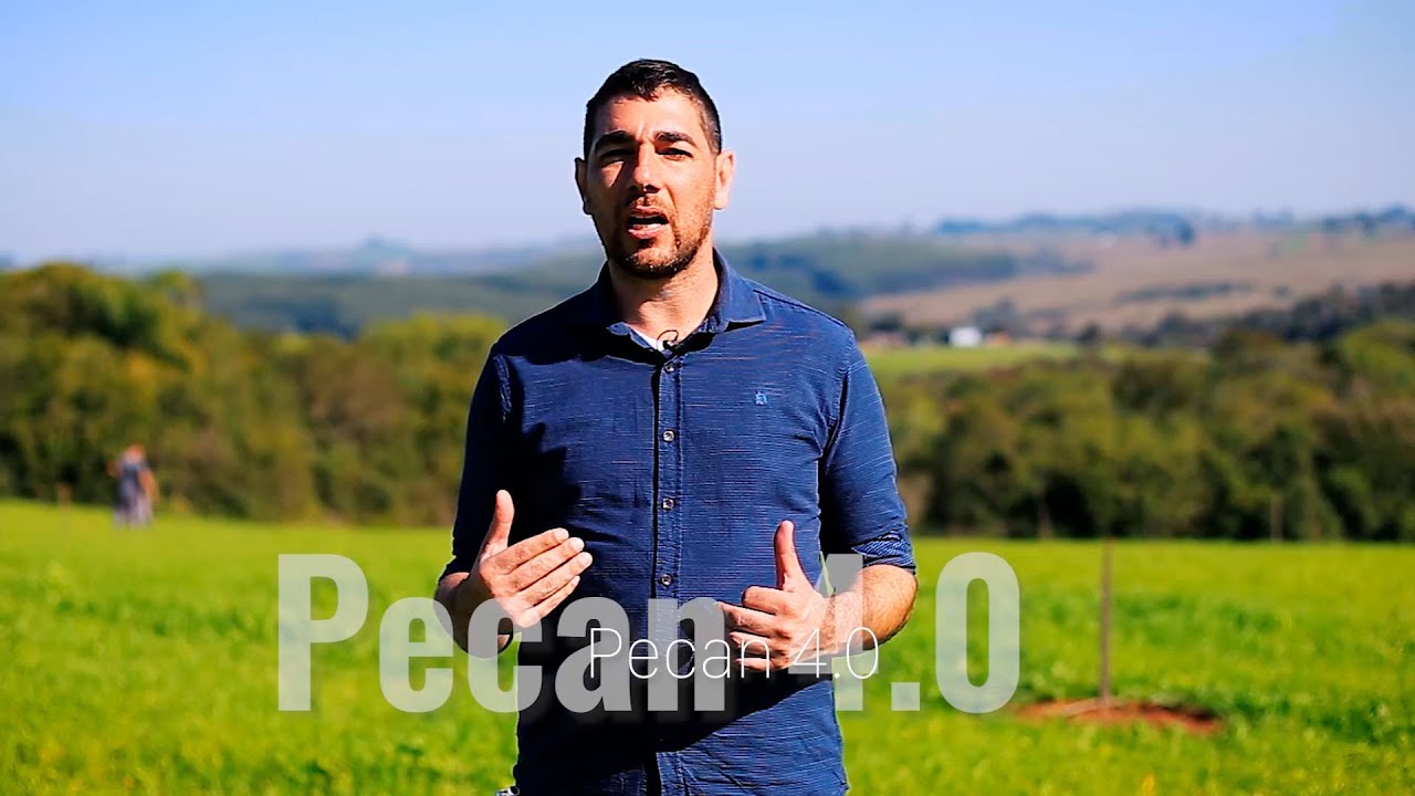 A NOZ PECAN NO BRASIL - Documentário Incrível Sobre Noz Pecan - Dia Del Nogalero - PecanSolution