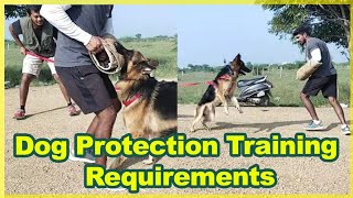 Dog Protection training requirements|Dog training video|Dog for sales|Spotlight tamil