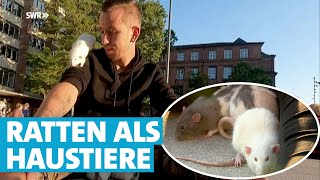 Ratten in der Fußgängerzone: Marco und Jana gehen mit ihren Haustieren spazieren
