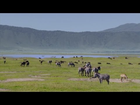 Anthony Bourdain in