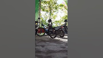 WARKOP BENOWO KAUMAN SURABAYA#short #shorts #ngopi #surabaya