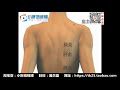 催乳按摩的主要穴位 视频 催乳按摩的主要穴位 视频
