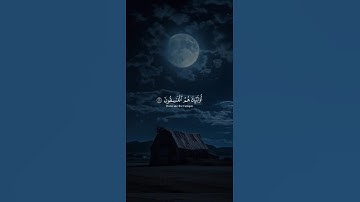 اكتب شيء تؤجر عليه 😴💚 | القارئ ياسر الدوسري