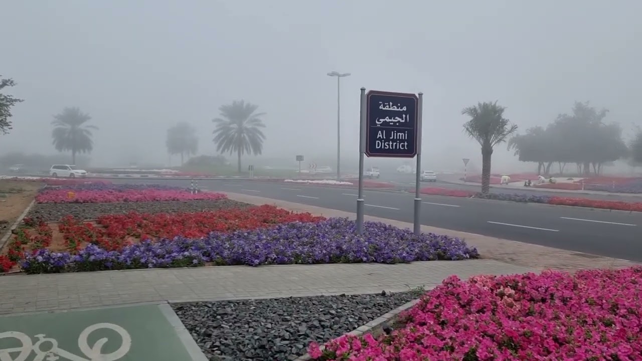 أجمل شتاء في العالم، مدينة العين 💜