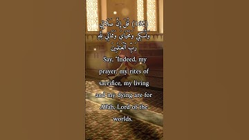 Surah Al-An'am سورة الأنعام