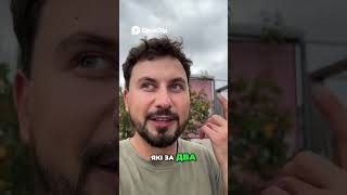 Заробіток онлайн навіть з телефону