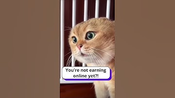 Still Ignoring ByteLixir? Even Cats Are Earning…