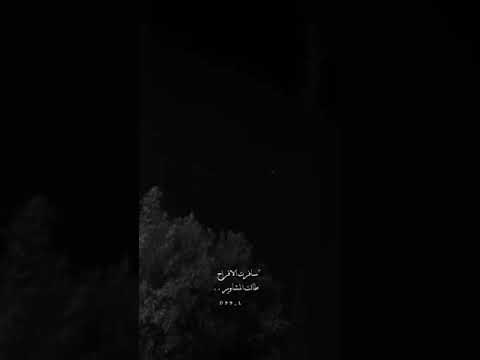 وطالت المشاوير