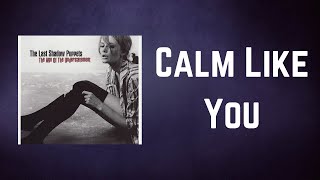 The Last Shadow Puppets - Calm Like You (Lyrics) Resimi