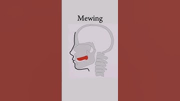 Mewing 🗿#shorts #shortvideo #mewing #viral