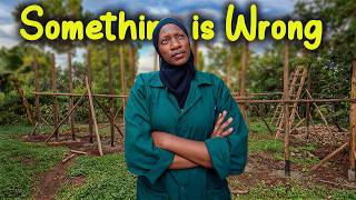 The Poultry Farming DREAM Is COLLAPSING…Nobody Told Us This!!
