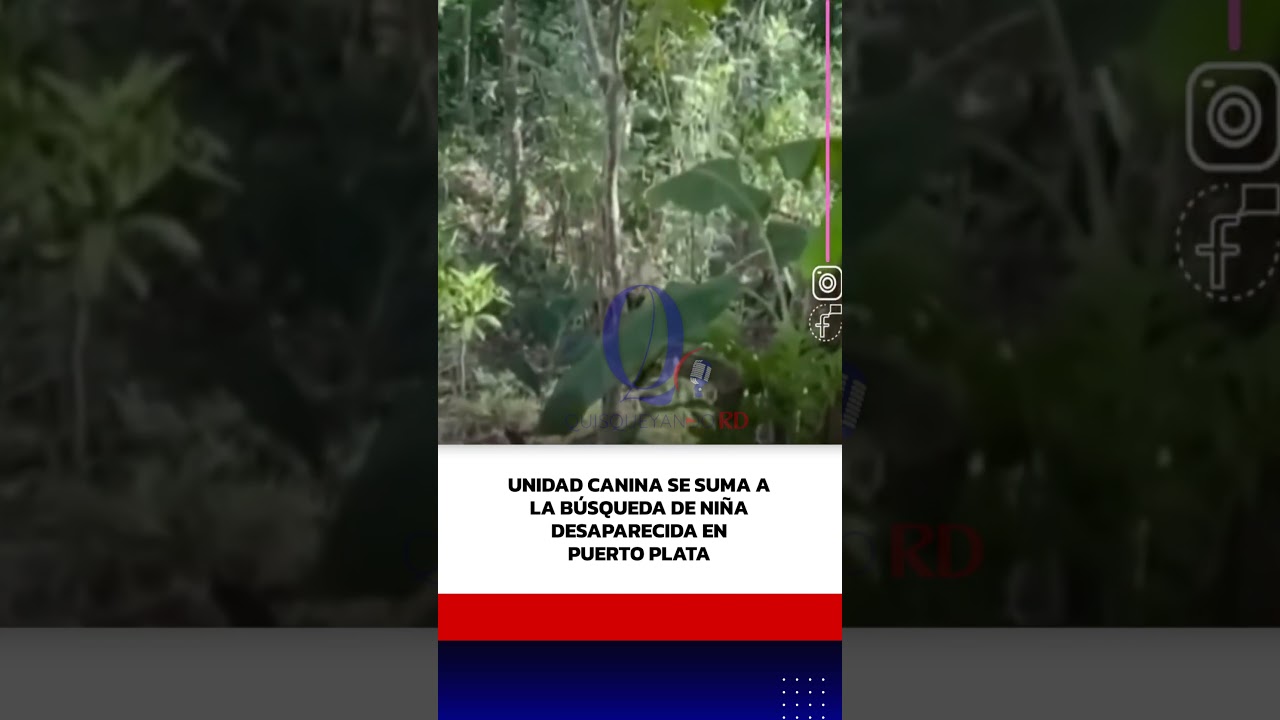Unidad canina se suma a la búsqueda de niña desaparecida en Puerto Plata
