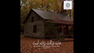 تلاوة خاشعة قصيرة قارئ الشيخ وديع اليماني