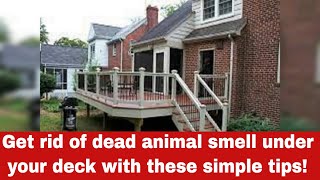 How To Get Rid Of Dead Animal Smell Under Your Deck [Detailed Guide]