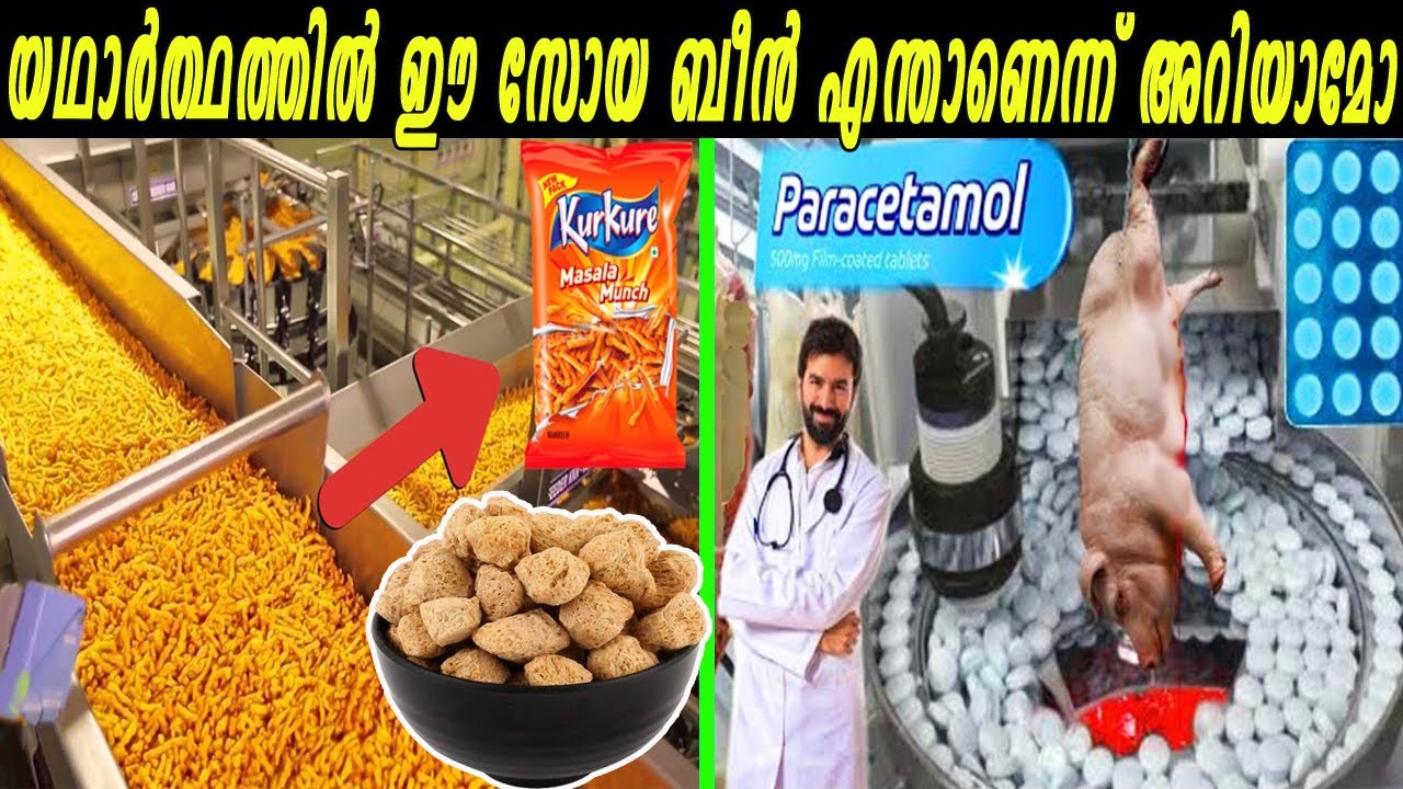 ക്യാപ്സ്യൂൾ നോൺ വെജ് ആയിരുന്നോ? ഈ സാധനങ്ങൾ ഇങ്ങനെയാണ് ഉണ്ടാക്കുന്നതെന്ന് നിങ്ങൾക്കറിയാമോ?