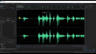 การบันทึกเสียง ลดนอยส์ noise การปรับระดับเสียง การเอ็กพอร์ตไฟล์ Export File ด้วย Adobe Audition CC