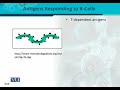 BT302 Immunology Lecture No 89