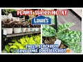 Plant Shopping at Lowe's Big Box Store || FULLY STOCKED || PLUS GORGEOUS RARE ORCHIDS