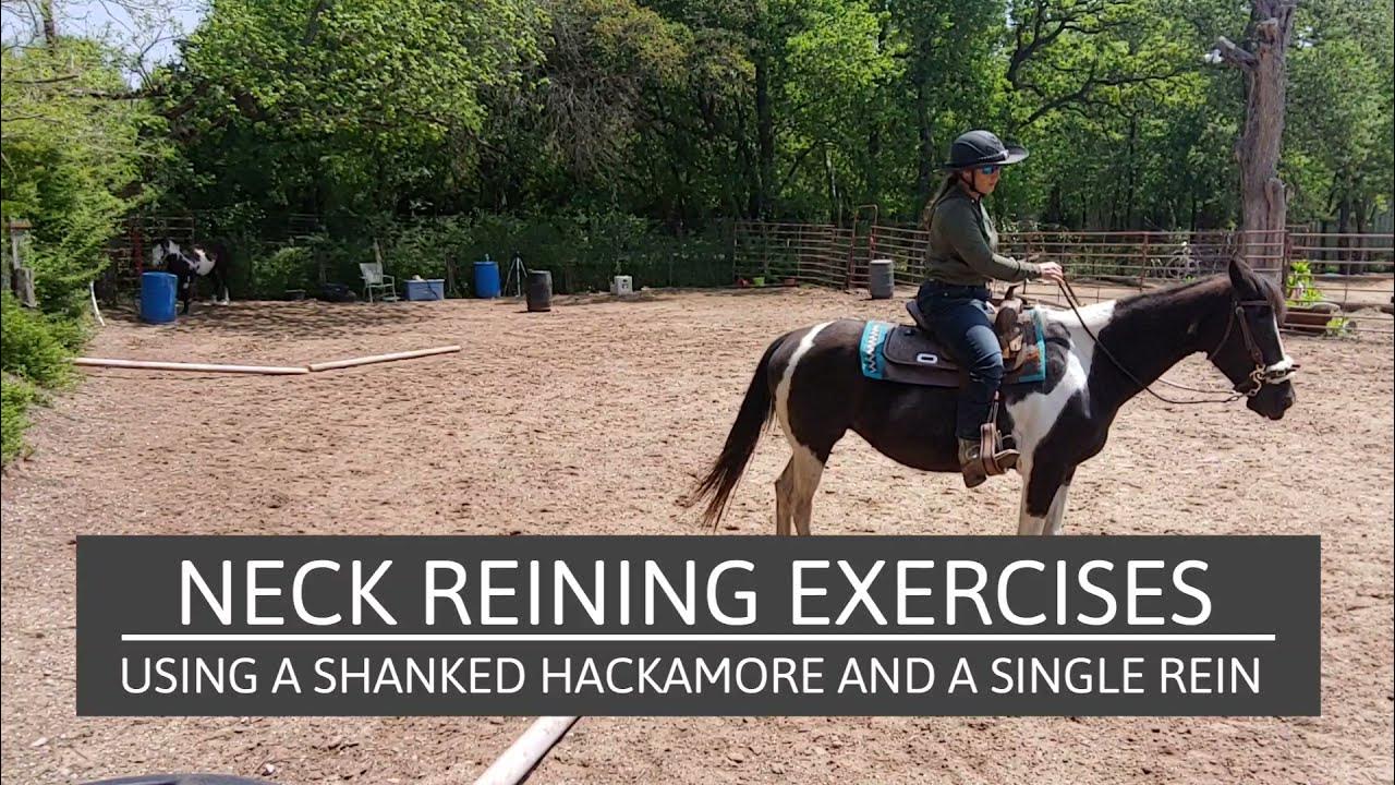 Beginning Neck reining exercises Using leg cues, a shanked hackamore and a single rein YouTube