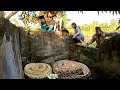 Panic, Rescue 2 Giant Pythons Laying Eggs Stuck In A Water Tank | Hunter Survival TV
