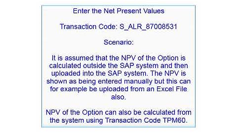 SAP Treasury and Risk Management -  OTC Currency option