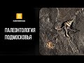 Палеонтология Подмосковья