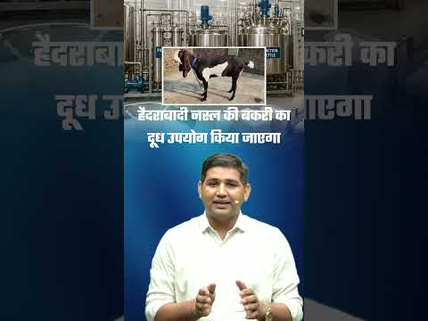 बकरी के दुध से साबुन बनाने वाला प्रोजेक्ट || Rajasthan Current Affairs 2026 #rajasthangk
