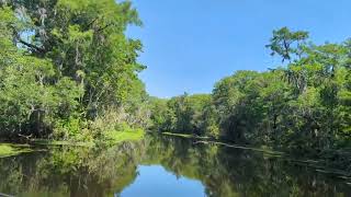 Airboat Ride (Lake Panasoffkee, FL)