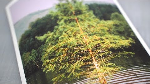 How big can you print a photo from a 35mm negative?