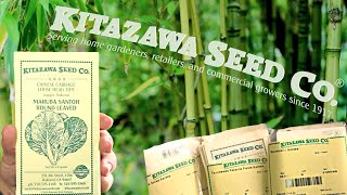 ASIAN GARDEN Seed Assortment//Kitazawa Seed Co.