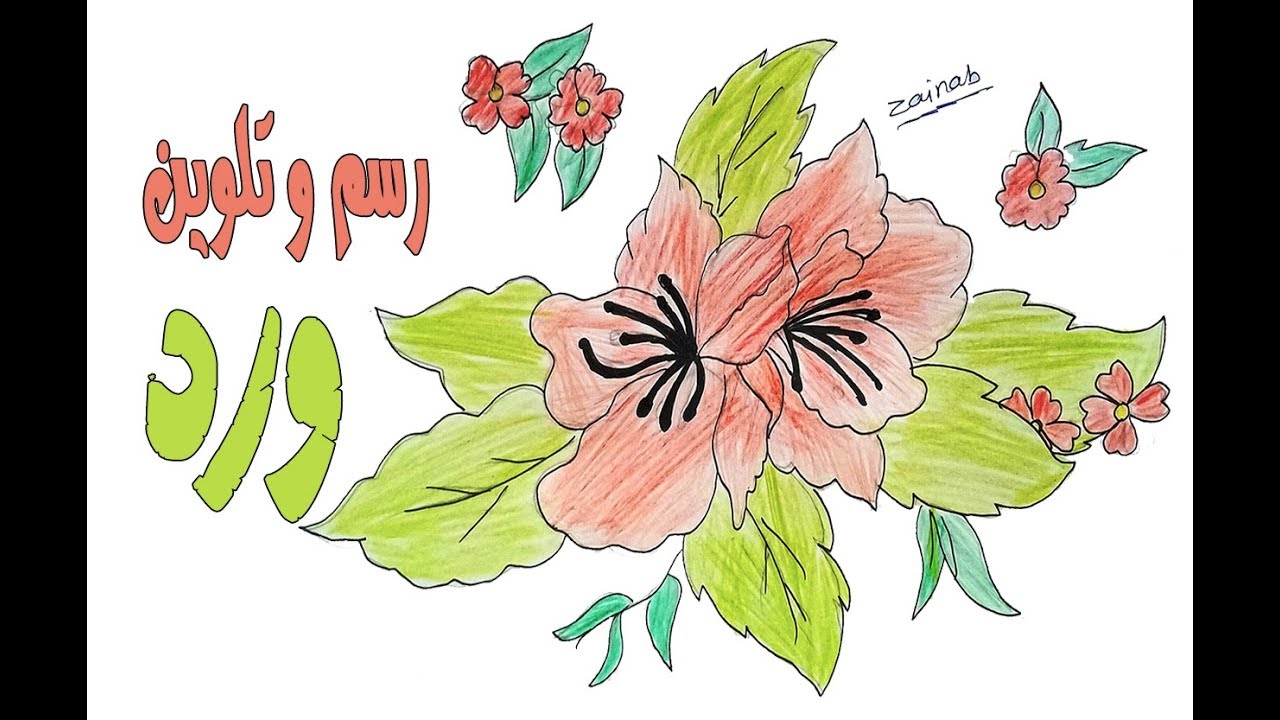 تعليم الرسم رسم و تلوين ورد خطوة بخطوة How To Draw Flowers Drawing Step By Step Youtube