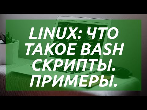 Linux: что такое BASH скрипты. Примеры.