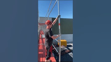 What is a Widget in Flutter?