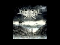 Cerebral Bore - Epileptic Strobe Entrapment