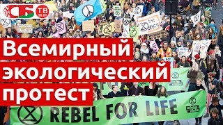 Экоактивисты протестуют по всему миру