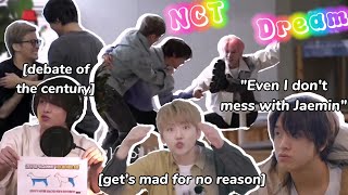 The Dreamies comeback in a nutshell