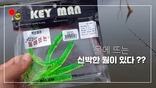 배스낚시 : 프리리그로 네꼬 액션을 준다고 ?? 빅브렐라 웜으로 배스잡아보자 !!