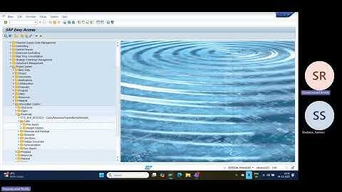 IM Budget Distribution: Step-by-Step Configuration (SAP Investment Management Tutorial