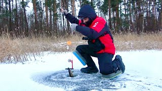 Ну и набегался! Жерлицы стреляют без остановки! Зимняя рыбалка на лесном озере!