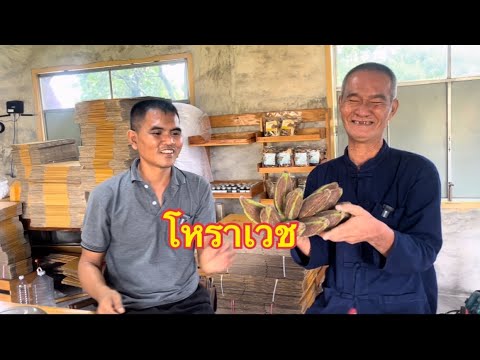 โหราเวชตอน330