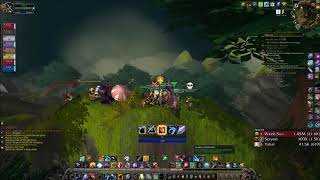 One Warrior Charge VS An Entire Guild