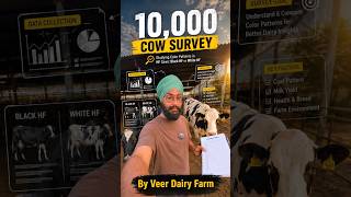 Research survey of 10,000 hf cows? Colour pattern of hf breed । Black HF vs White HF| Dairy Research