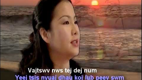 Puas Xav Tau Zoo Nqi Zog music video