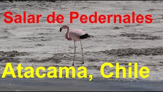 Excursión al salar de Pedernales en Atacama, Chile - Cordillera de los Andes