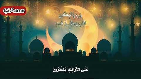 سورة المطففين القارئ طارق محمد