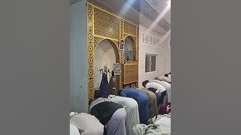 القارئ محمد وليد الشرعبي لصلاة الفجر 14 ربيع الأول 1446هجرية جامع الجليل - وادي القاضي - تعز