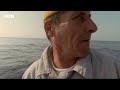 Fascinating Orca Moments | BBC Earth